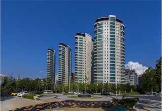 骨瓷骨粉脱模剂